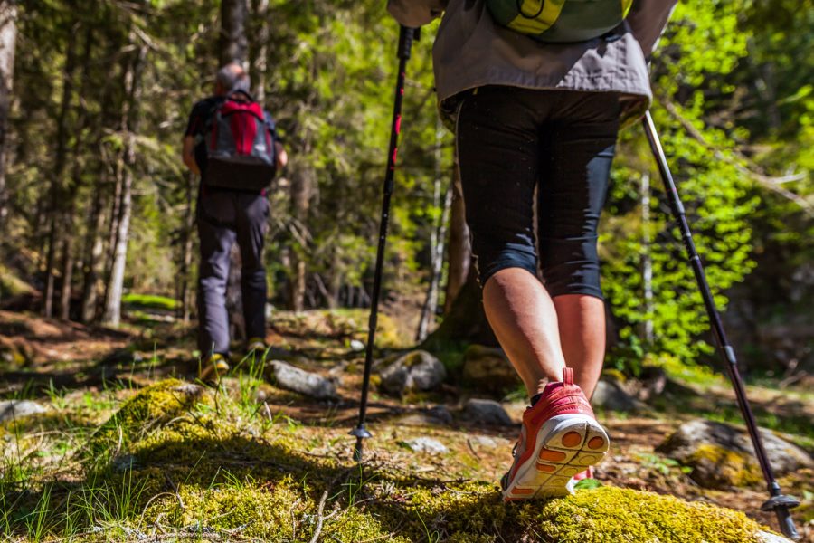 Терренкур в санатории - фотография